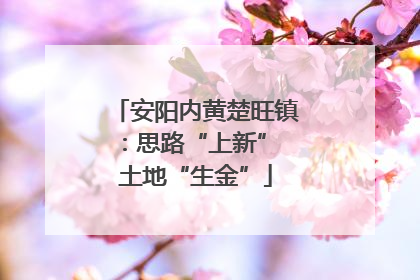 安阳内黄楚旺镇：思路“上新” 土地“生金”