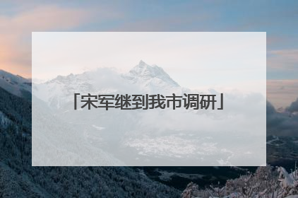 宋军继到我市调研
