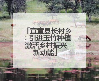 宜章县长村乡：引进玉竹种植 激活乡村振兴新动能