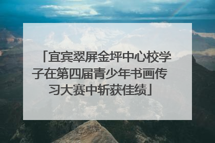 宜宾翠屏金坪中心校学子在第四届青少年书画传习大赛中斩获佳绩