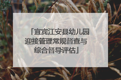 宜宾江安县幼儿园迎接管理常规督查与综合督导评估