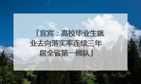 宜宾：高校毕业生就业去向落实率连续三年居全省第一梯队
