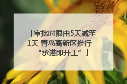审批时限由5天减至1天 青岛高新区推行“承诺即开工”