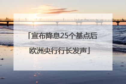 宣布降息25个基点后 欧洲央行行长发声