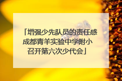 增强少先队员的责任感 成都青羊实验中学附小召开第六次少代会