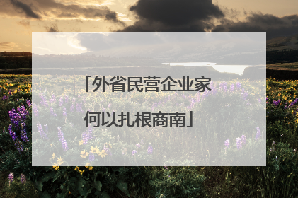 外省民营企业家何以扎根商南