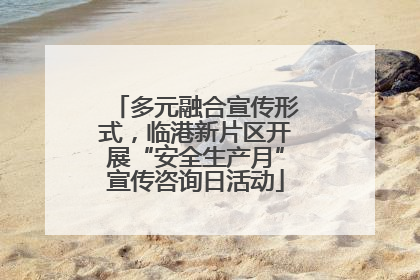 多元融合宣传形式，临港新片区开展“安全生产月”宣传咨询日活动
