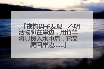 夜钓男子发现一不明活物趴在岸边，用竹竿将其拨入水中后，它又爬回岸边……