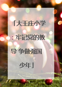 大王庄小学：牢记党的教导 争做强国少年