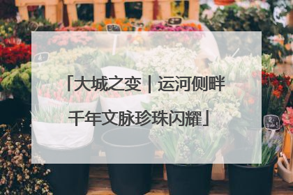 大城之变｜运河侧畔 千年文脉珍珠闪耀