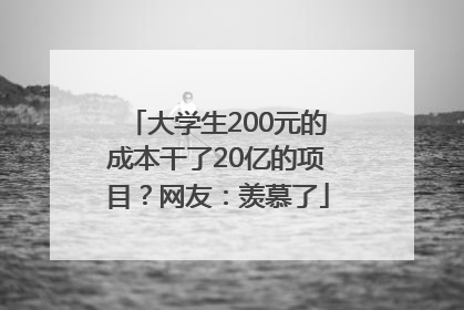 大学生200元的成本干了20亿的项目？网友：羡慕了