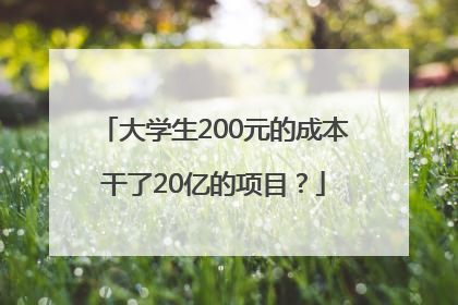 大学生200元的成本干了20亿的项目？