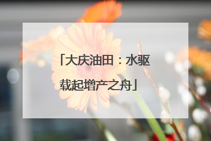 大庆油田：水驱载起增产之舟