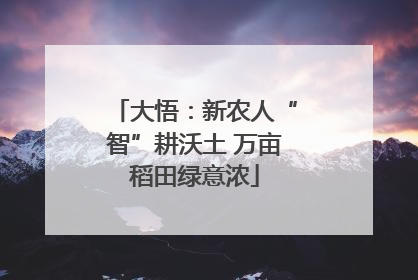 大悟：新农人“智”耕沃土 万亩稻田绿意浓