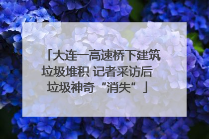 大连一高速桥下建筑垃圾堆积 记者采访后垃圾神奇“消失”