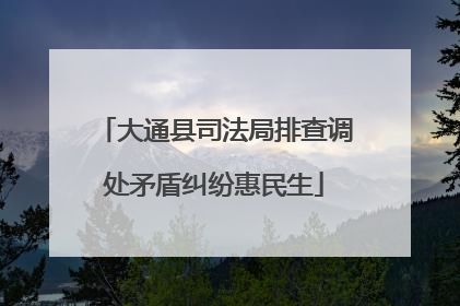 大通县司法局排查调处矛盾纠纷惠民生