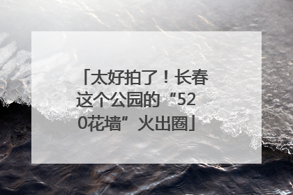 太好拍了！长春这个公园的“520花墙”火出圈