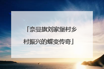 奈曼旗刘家堡村乡村振兴的蝶变传奇
