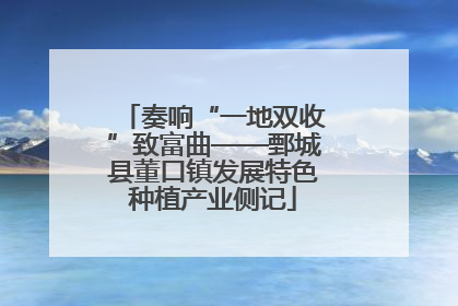 奏响“一地双收”致富曲——鄄城县董口镇发展特色种植产业侧记