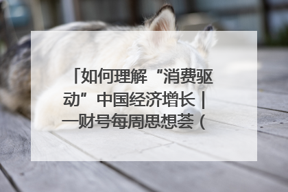 如何理解“消费驱动”中国经济增长｜一财号每周思想荟（第22期）