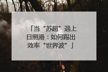 当“苏超”遇上日照港：如何踢出效率“世界波”