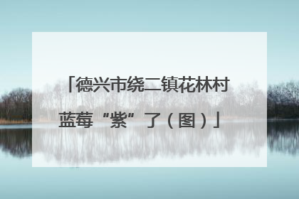 德兴市绕二镇花林村蓝莓“紫”了（图）
