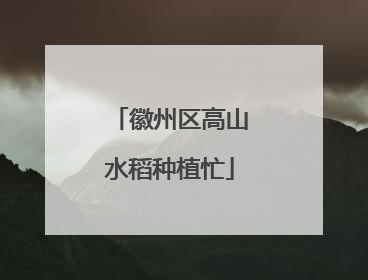 徽州区高山水稻种植忙