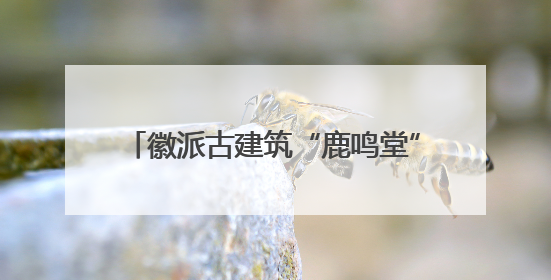 徽派古建筑“鹿鸣堂”“博观楼”捐赠暨启用仪式在上海大学举行