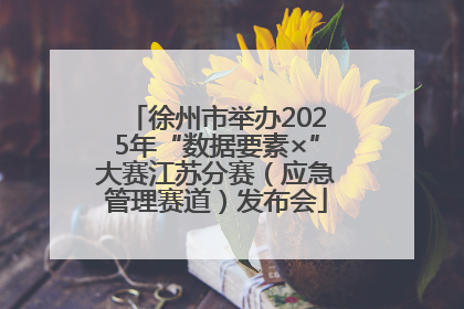 徐州市举办2025年“数据要素×”大赛江苏分赛（应急管理赛道）发布会