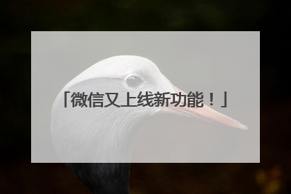 微信又上线新功能！