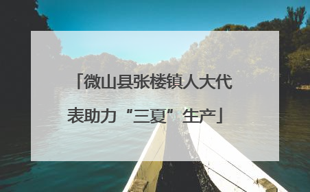 微山县张楼镇人大代表助力“三夏”生产