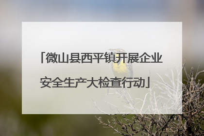 微山县西平镇开展企业安全生产大检查行动