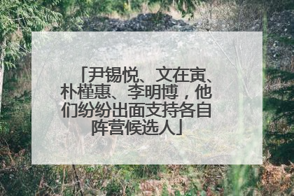 尹锡悦、文在寅、朴槿惠、李明博，他们纷纷出面支持各自阵营候选人