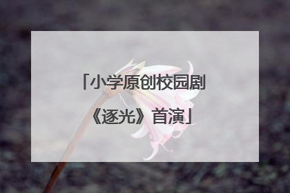 小学原创校园剧《逐光》首演