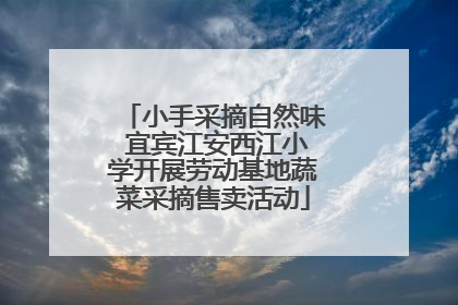 小手采摘自然味 宜宾江安西江小学开展劳动基地蔬菜采摘售卖活动