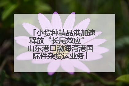 小货种精品港加速释放“长尾效应” 山东港口渤海湾港国际件杂货运业务