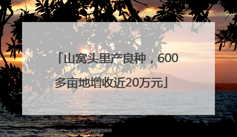 山窝头里产良种，600多亩地增收近20万元