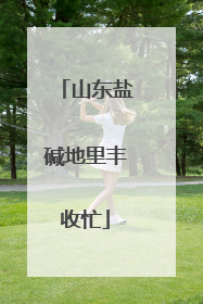 山东盐碱地里丰收忙
