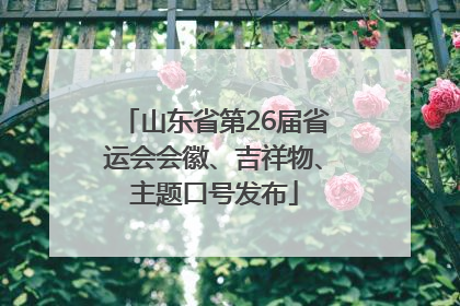 山东省第26届省运会会徽、吉祥物、主题口号发布
