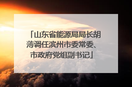 山东省能源局局长胡薄调任滨州市委常委、市政府党组副书记