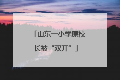 山东一小学原校长被“双开”