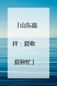 山东嘉祥：夏收夏种忙