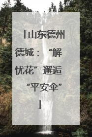 山东德州德城：“解忧花”邂逅“平安伞”