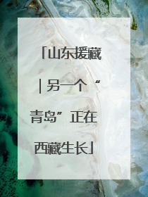 山东援藏｜另一个“青岛”正在西藏生长