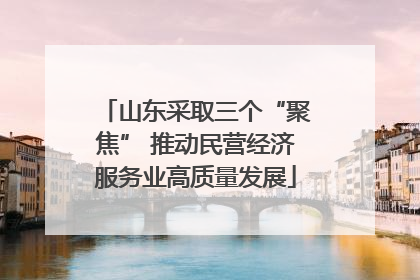 山东采取三个“聚焦” 推动民营经济服务业高质量发展