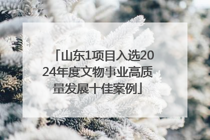 山东1项目入选2024年度文物事业高质量发展十佳案例