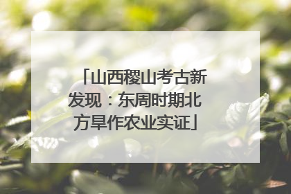 山西稷山考古新发现：东周时期北方旱作农业实证