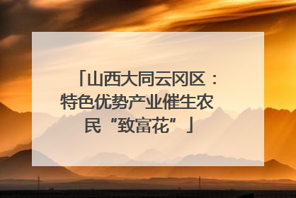 山西大同云冈区：特色优势产业催生农民“致富花”
