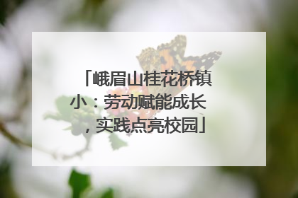 峨眉山桂花桥镇小：劳动赋能成长，实践点亮校园