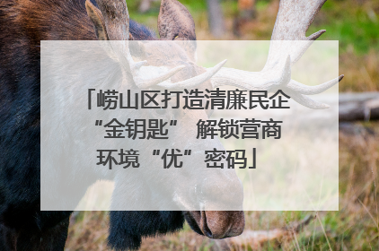 崂山区打造清廉民企“金钥匙” 解锁营商环境“优”密码